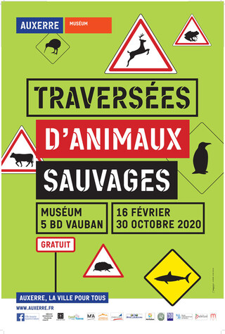 Abribus-traversées-d'animaux-visuel-