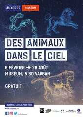 Des animaux dans le ciel afffiche