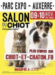 9-11 salon du chiot affiche