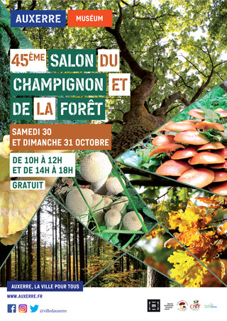 affiche-A3-salonduchampignon