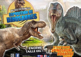 26-27 09 expo dinosaure 2