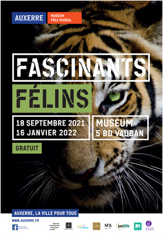 MUSÉUM Expo Félins Abribus_Flash