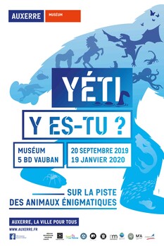 Visuel compressé Yéti y es-tu Muséum Auxerre