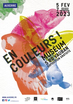 affiche expo en couleurs