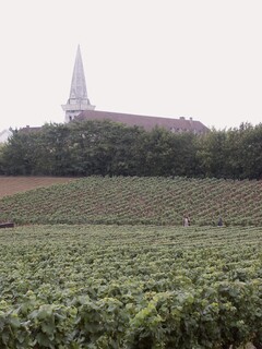 Clos de la chaînette