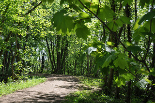 la coulée verte