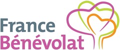 logo france bénévolat