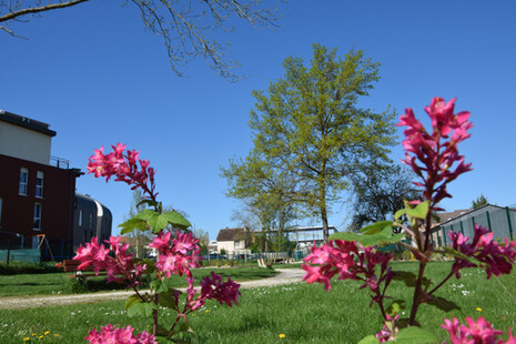 parc et jardin