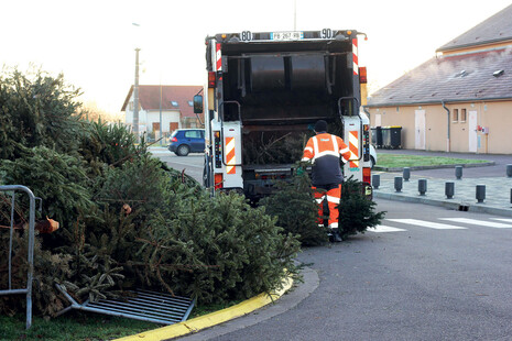 Collecte_des_sapins_-_2020-12-07_165350